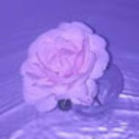 Meet your Posher, Leona - Picture 1 of 1